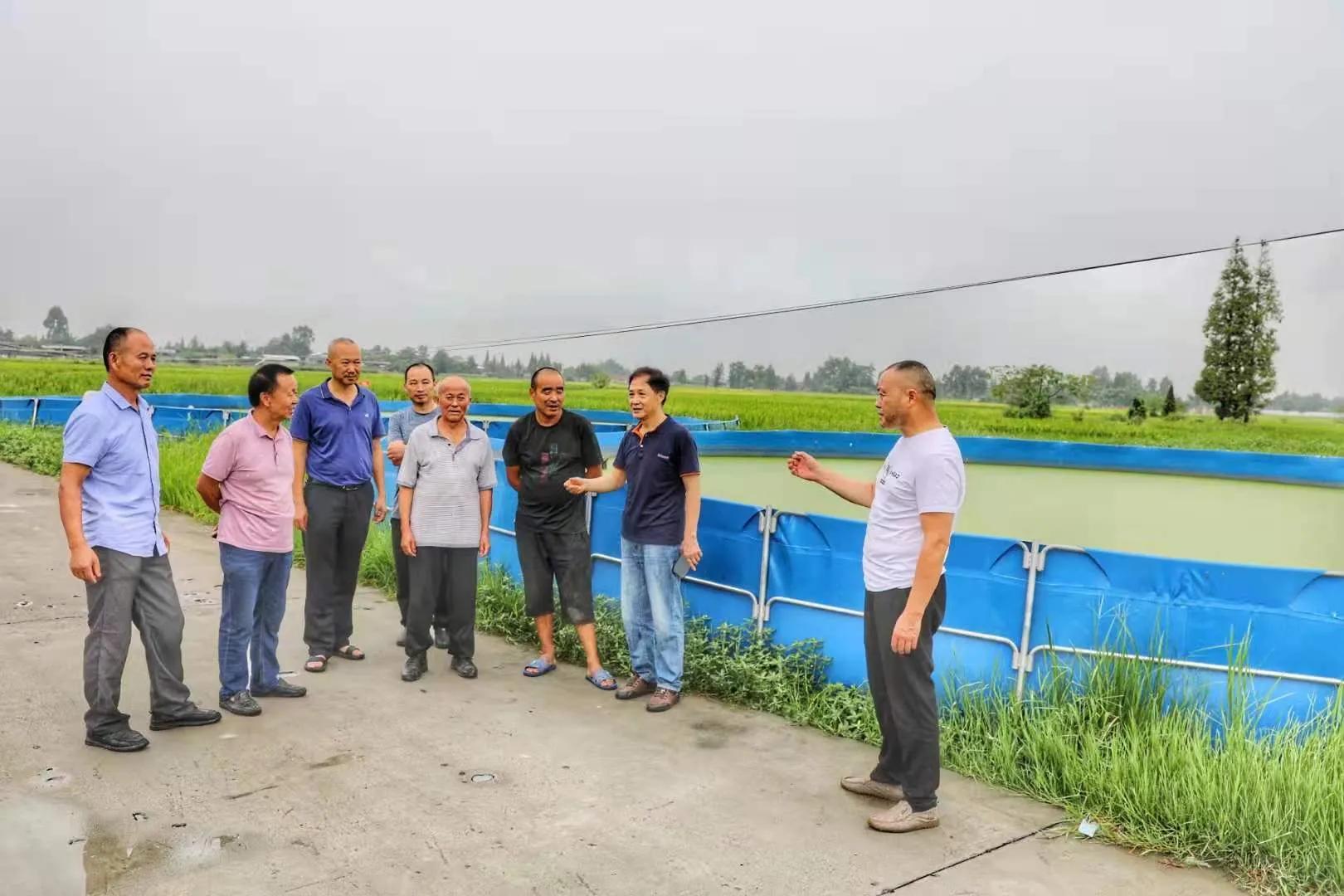 什邡市老科协学习调研新型稻田降镉技术