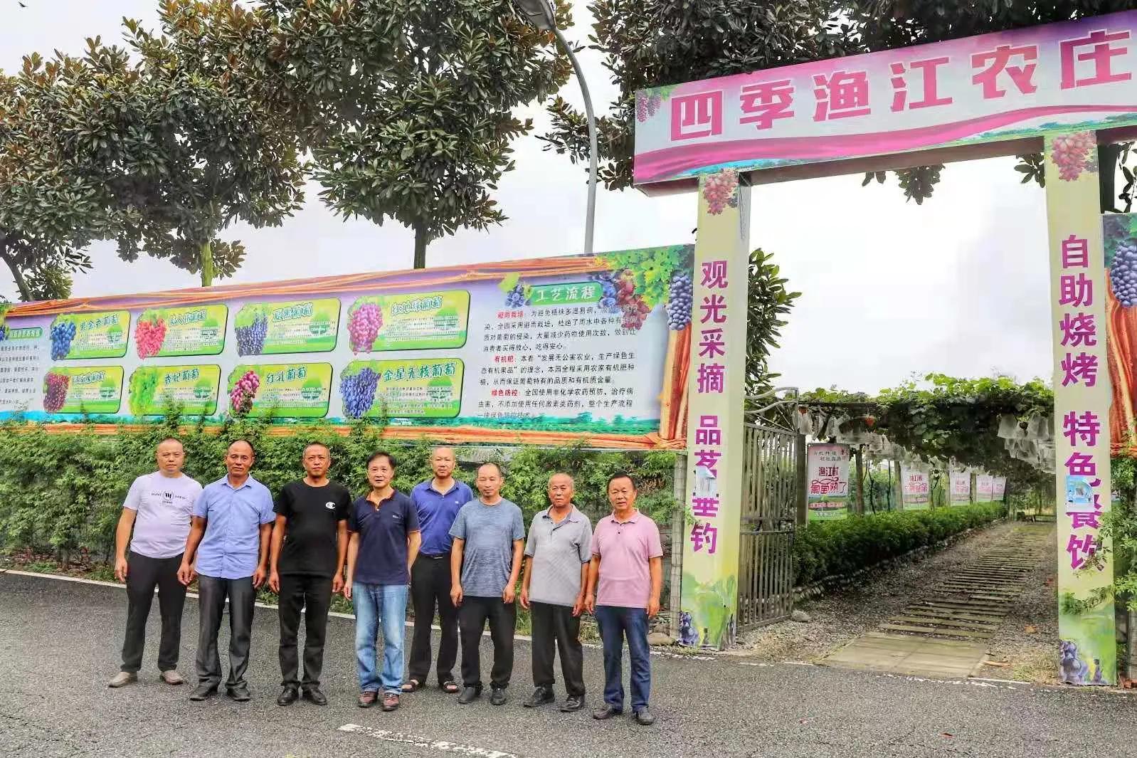 什邡市老科协学习调研新型稻田降镉技术